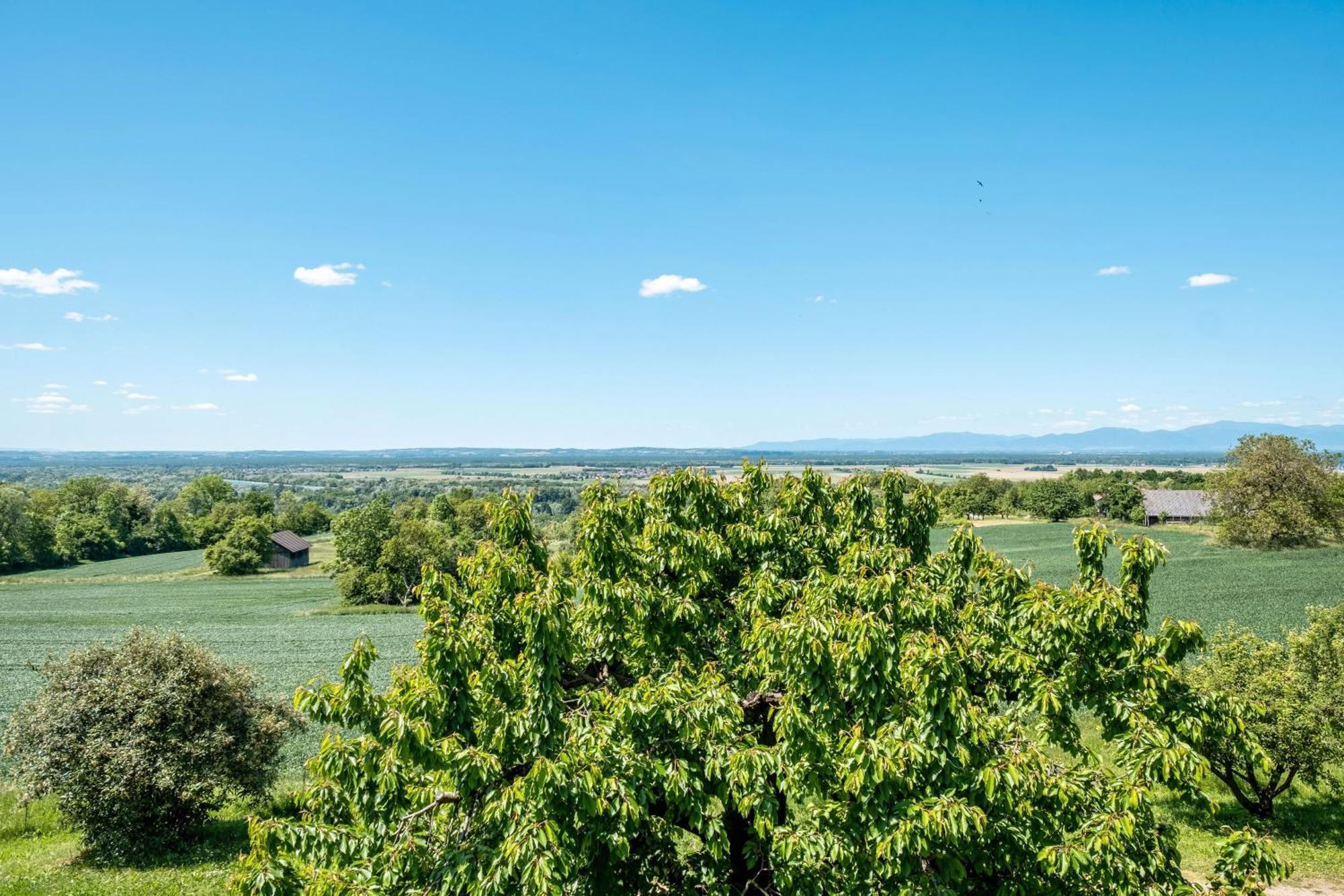 Apartmán Pappelhof Bad Bellingen Exteriér fotografie