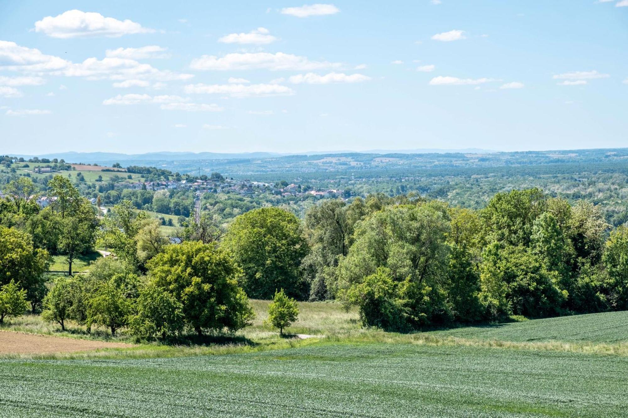 Apartmán Pappelhof Bad Bellingen Exteriér fotografie